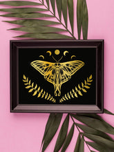 Load image into Gallery viewer, Luna Moth Foil Print
