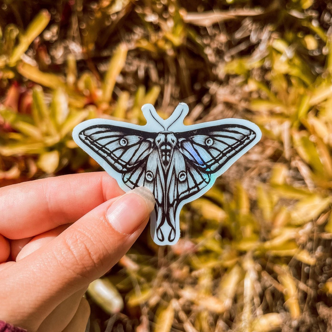 Luna Moth Holographic Sticker