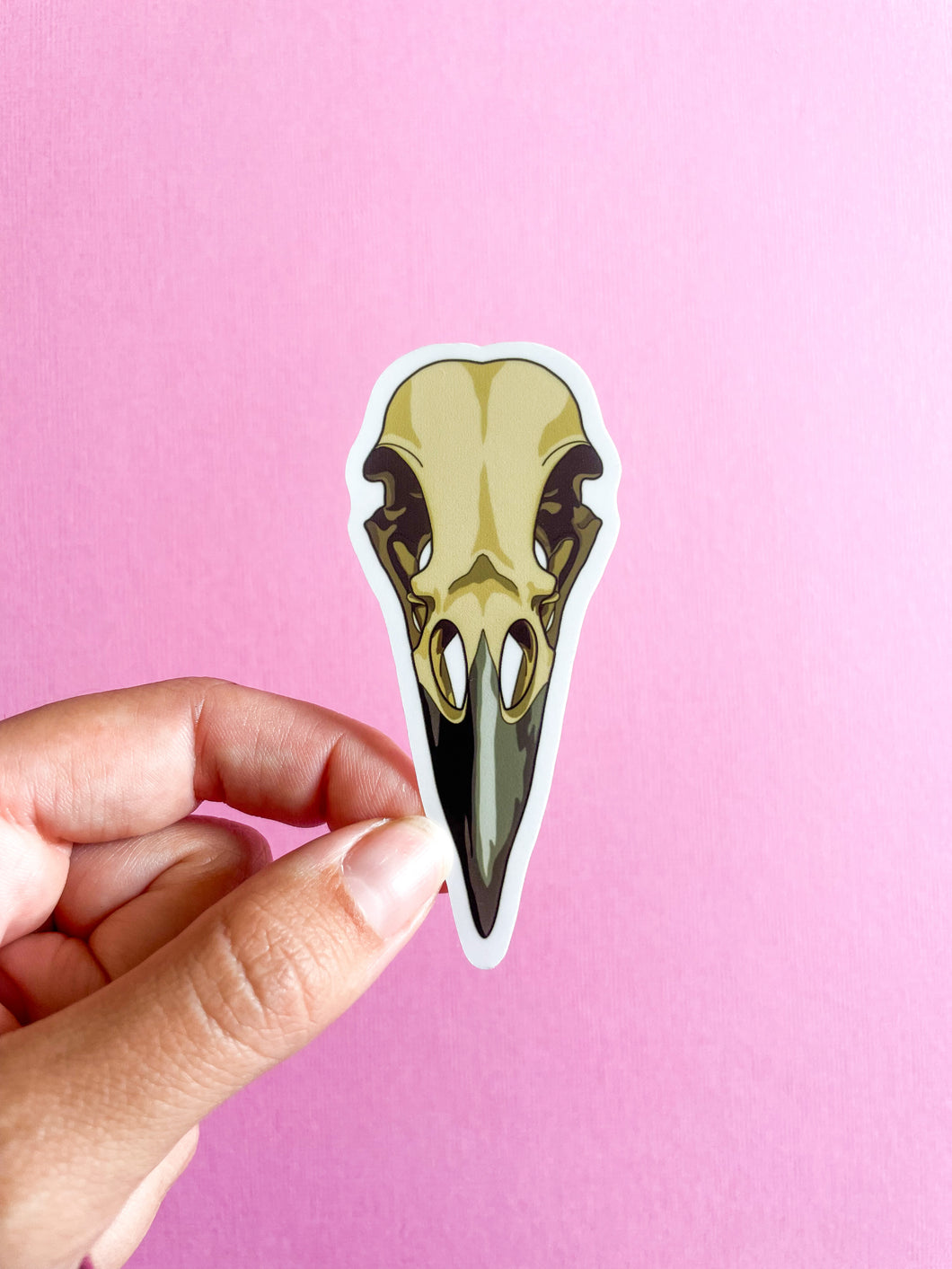 Raven Skull Sticker